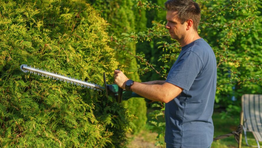 Ratschläge für Arbeiten im Garten